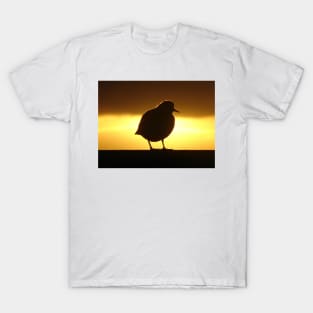 Turnstone T-Shirt